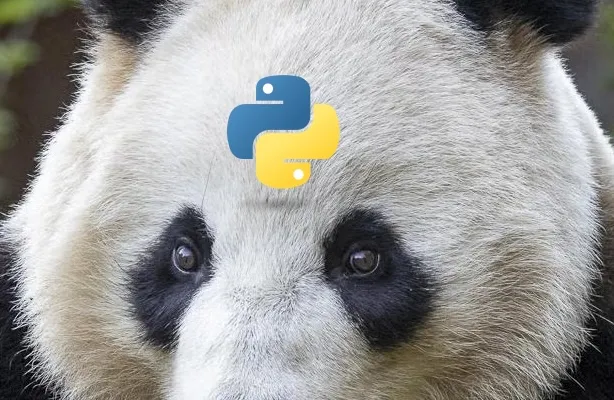 Monitor your Internet Connectivity with Pandas and Python