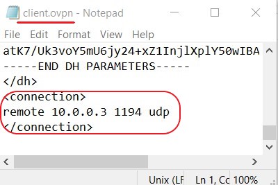 OpenVPN config file